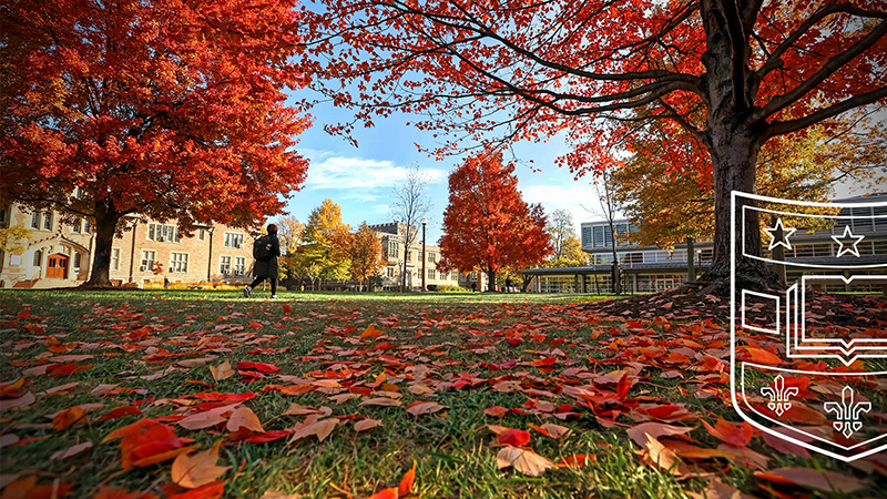 Image of WashU